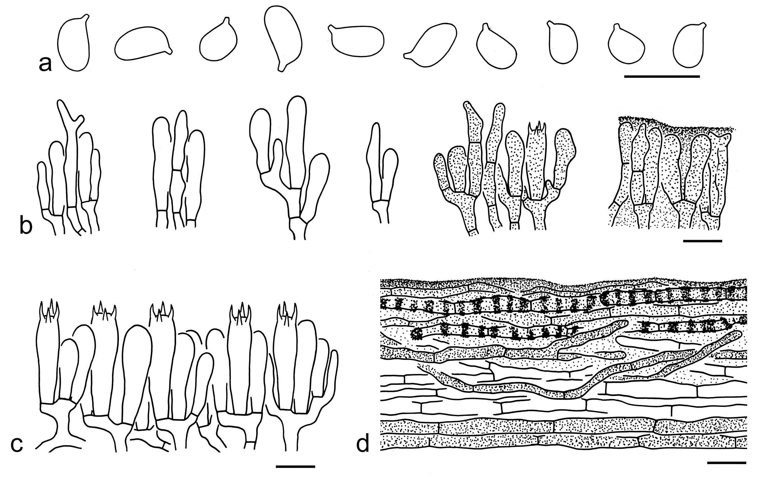 Figure 40